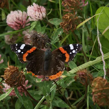 Lejlighed Fortuna Samnaun