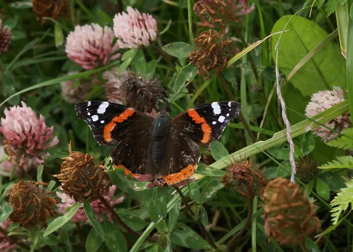 Daire Fortuna Samnaun